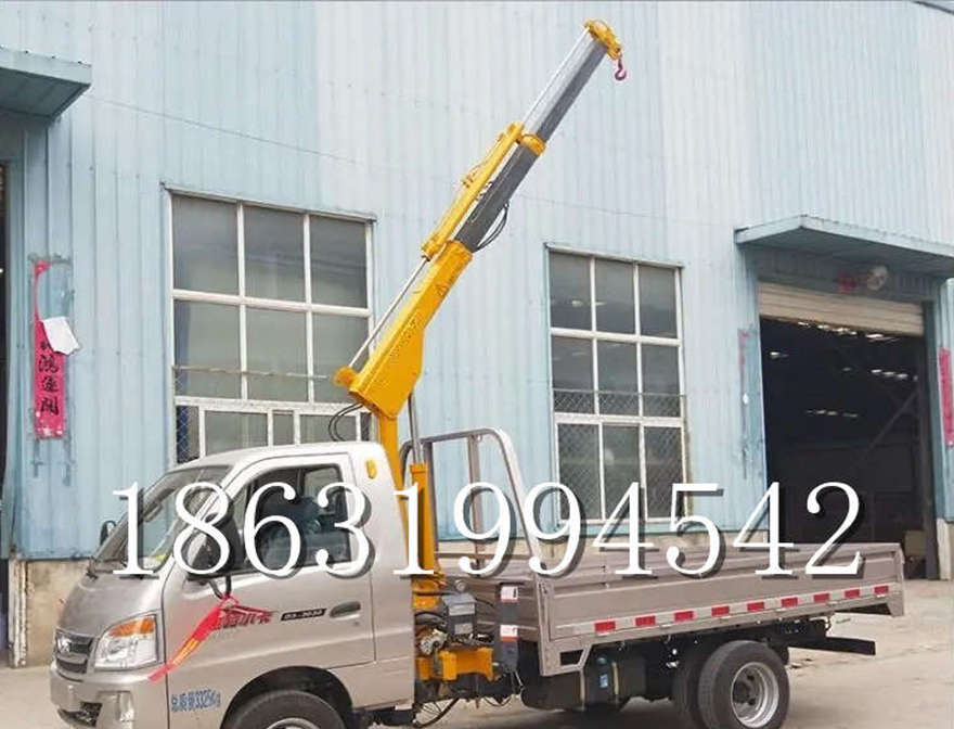 玉树市车载吊机玉树市车载随车吊220伏家用吊机小吊机220V玉树市附近车载吊机改装移动起重机